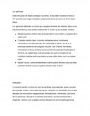 Antes del golpe de estado protegían las tierras, ahora están violando el artículo 107 que dice que ningún extranjero puede tener tierras a menos de 40 km de la playa.
