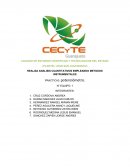 COLEGIO DE ESTUDIOS CIENTIFICOS Y TECNOLOGICOS DEL ESTADO[pic 1]