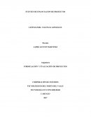 VFUENTES DE FINANCIACION DE PROYECTOS