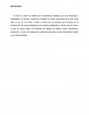 PROYECTO METODOLÓGICO RAINELYS CHICA