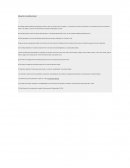 PRACTICA Derecho constitucional.