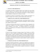 Programa de Prácticas pre profesionales