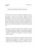 Terrorismo el Retrato de la Ignorancia Humana