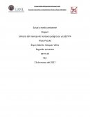Síntesis de salud y medio ambiente etapa 2.