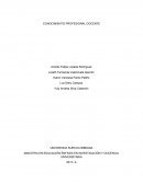 TRABAJO CONOCIMIENTO PROFESIONAL DOCENTE.