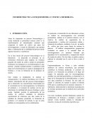 ESTEQUIOMETRIA Y CINETICA MICROBIANA