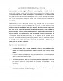 LAS NECESIDADES DEL DESARROLLO HUMANO