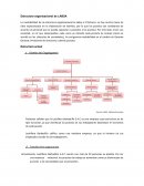 Estructura organizacional de LABSA