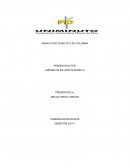 ENSAYO POS-CONFLICTO EN COLOMBIA