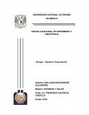 Ensayo Desde la Tersa Noche