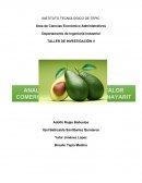 ANALISIS DE LA CADENA DE VALOR COMERCIAL DEL AGUACATE EN NAYARIT.