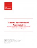 Etapas del ciclo de vida de un sistema de información administrativo en la organización