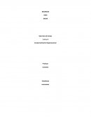 Comportamiento organizacional practica