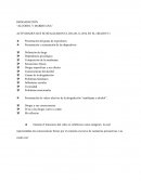 DROGADICCIÓN “ALCOHOL Y MARIHUANA”