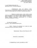 Deamanda ejecutiva mercantil