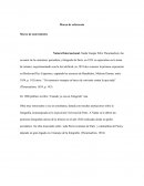 Metodologia Marco de antecedentes