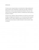 Trabajo infantil INTRODUCCION