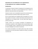 Importancia de la mercadotecnia en las organizaciones.