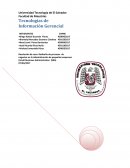 Tecnologías de Información Gerencial