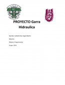 Proyecto programación