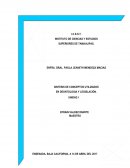 SINTESIS DE CONCEPTOS