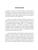Practicas Desarrollo (Ensayo).