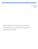 Breve Análisis de Derechos Humanos contenidos en la Convención sobre los Derechos del Niño