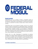 Nuestra compañía Federal-Mogul LLC