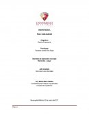 Coordinadora de Prácticas Empresariales Informe Parcial