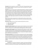 Genetica - Practica