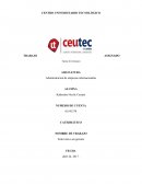 ENTREVISTA A UN GERENTE.