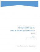 Informe DMAIC Control Perros Callejeros