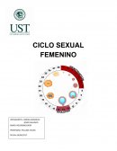 El Ciclo Sexual Femenino.