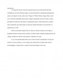 SITUACIONES DE APRENDIZAJE EN PREESCOLAR Y PRIMARIA