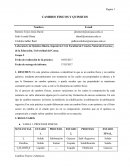 CAMBIOS FISICOS Y QUIMICOS mediante procedimientos con sustancias