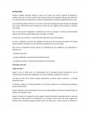 El tatuaje como arte.