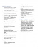 Asia, geografía y economía