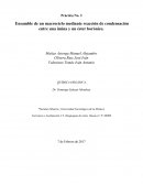 Práctica No. 2 Ensamble de un macrociclo mediante reacción de condensación entre una imina y un éster borónico