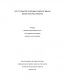 GUIA N° 13 Desarrollo De Estrategias Gestión De Negocios