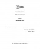 Ensayo 1 “Caso Noruega: México”