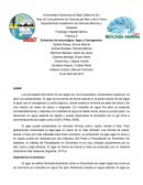 Práctica 5 Extractos de macroalgas: Agar y Carragenano