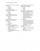 Evaluacion informatica sexto