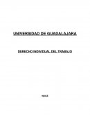 Derecho indiviudal del trabajo