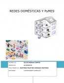 REDES DOMÉSTICAS Y PyMES