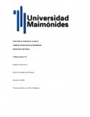 MODALIDAD DISTANCIA Trabajo practico nº1