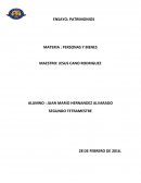 Ensayo de patrimonio.