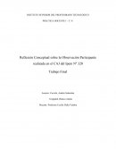Reflexión Conceptual sobre la Observación Participante realizada en el CAJ del Ipem Nº 320