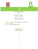 Práctica No. 4: Relaciones VIR