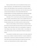 Platon fue un filósofo increíble