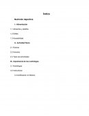 Nutricion deportiva. Importancia de los nutriólogos